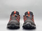 Salomon - Image 2