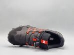 Salomon - Image 7
