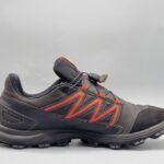 Salomon